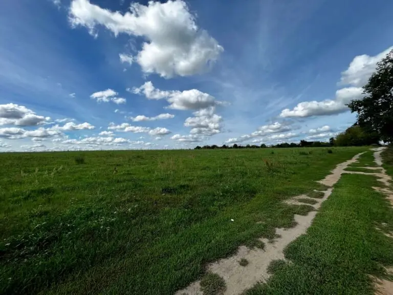 Ruhiges Baugrundstück mit unverbaubarem Blick – Bernau Nibelungen