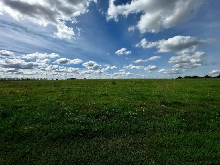 Ruhiges Baugrundstück mit unverbaubarem Blick – Bernau Nibelungen