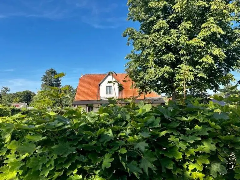 bauträgerfreies Baugrundstück in Bernau Nibelungen