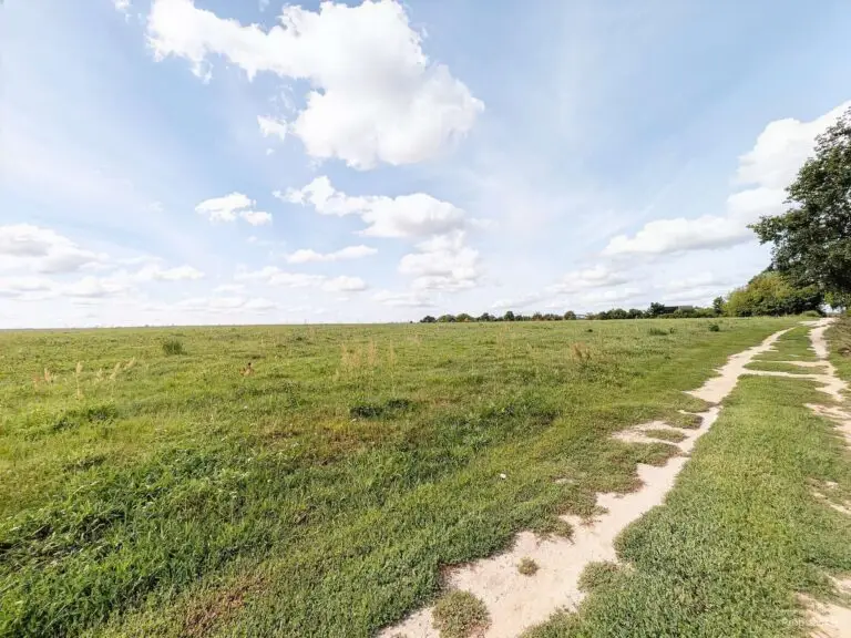 Ruhiges Baugrundstück mit unverbaubarem Blick – Bernau Nibelungen